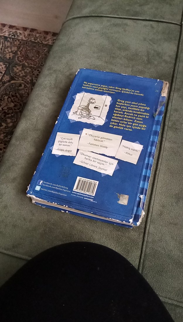 Saftirik Greg'in Günlüğü Rodrick Kuralları - Görsel 3