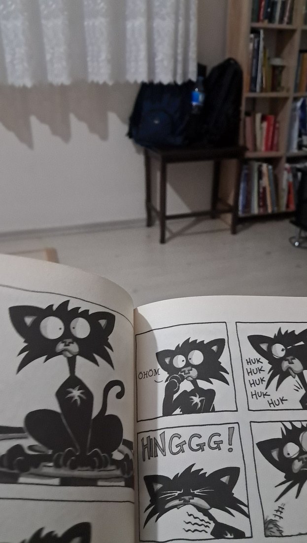 Kötü Kedi Okulu Karıştırıyor - Nick Bruel - Görsel 3