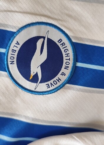 Brighton Ferdi Kadıoğlu forma