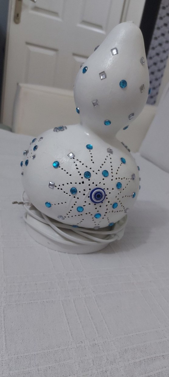 susak abujur - Görsel 3