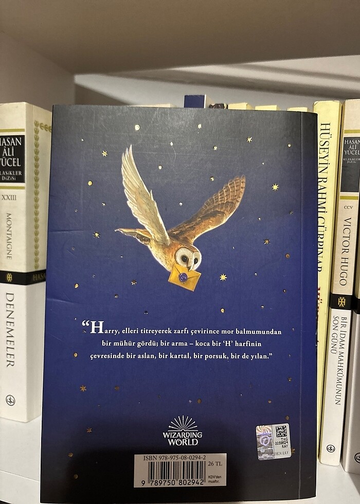Harry Potter felsefe taşı - Görsel 2