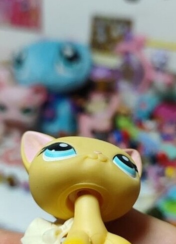 Lps minisler #339 Brooke Hayes shorthair