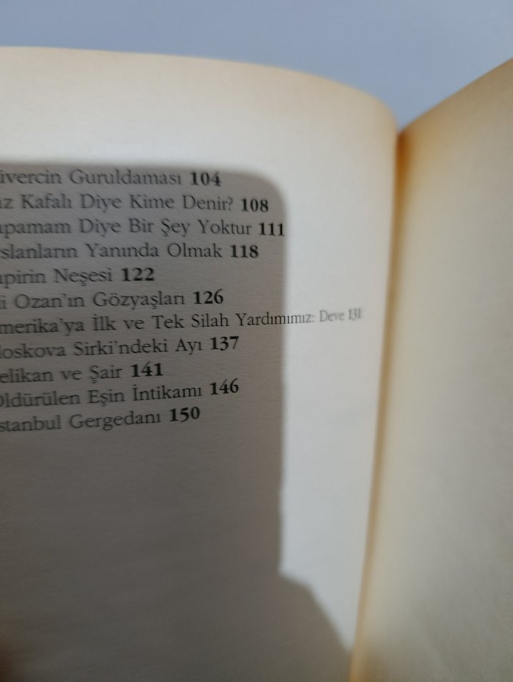 İstanbul'da Bir Zürafa - Sunay Akın - Görsel 4