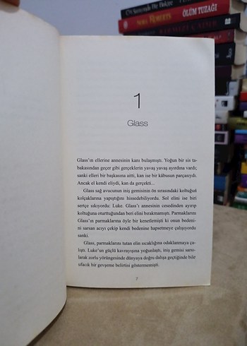 The 100: Eve Dönüş - Kass Morgan - Görsel 4