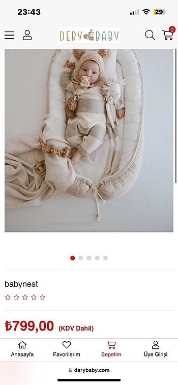 BABYNEST