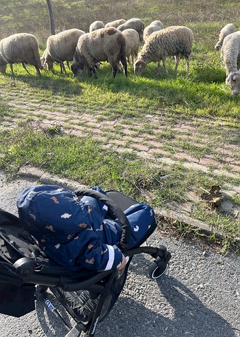 ASTRONOT MONT ERKEK ÇOCUK - Görsel 5