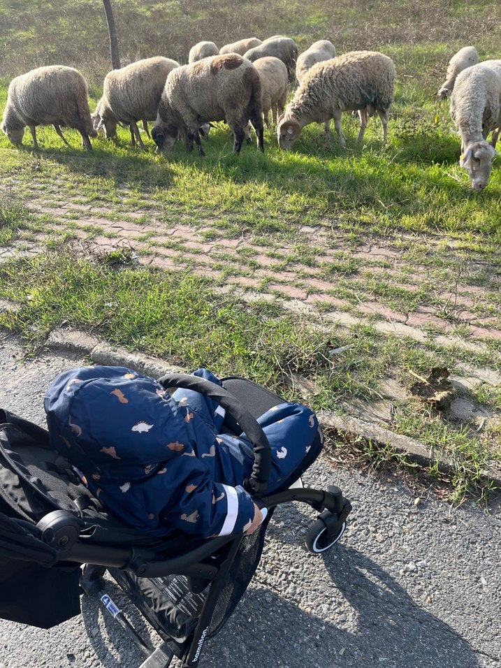 ASTRONOT MONT ERKEK ÇOCUK - Görsel 5