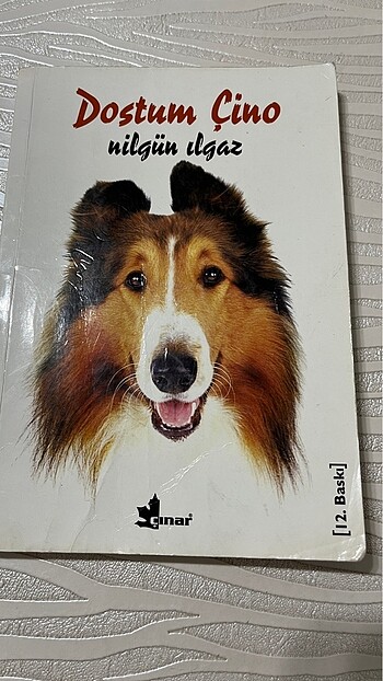Dostum Çino