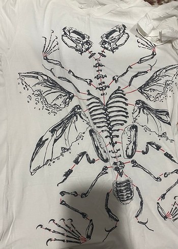 Baskılı Beyaz Montana Tişörtü - Görsel 3