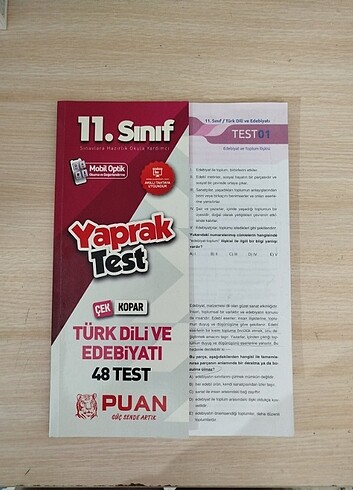 Puan Yayınları 11. Sınıf Edebiyat yaprak test