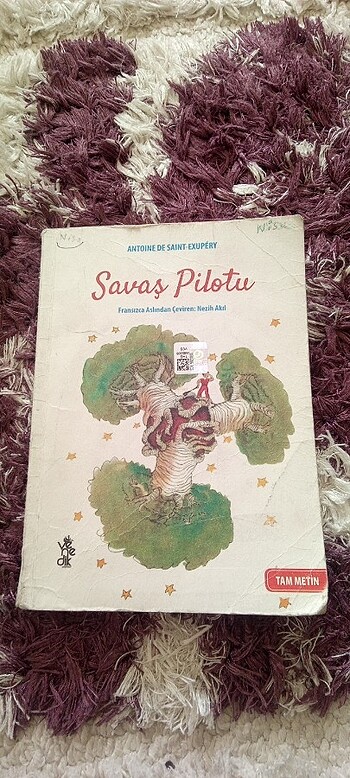 Savaş pilotu