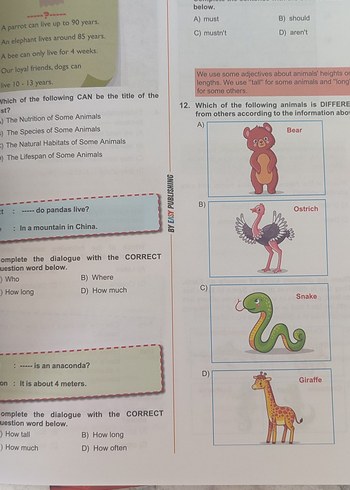 7GRADE EASY ENGLISH FOR FUTURE BY EASY - Görsel 7