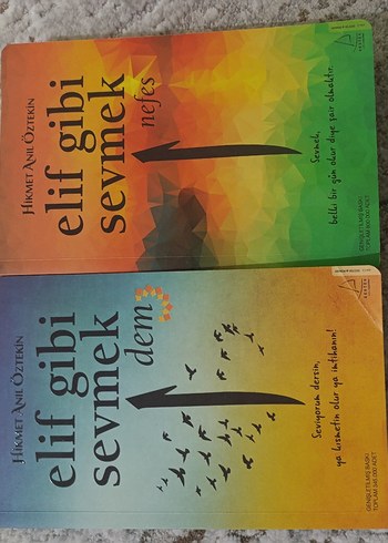 Elif Gibi Sevmek Dem - Hikmet Anıl Öztekin - Görsel 5