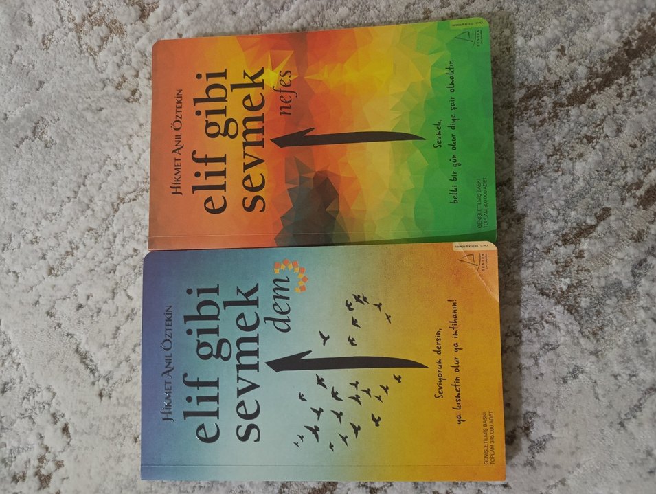 Elif Gibi Sevmek Dem - Hikmet Anıl Öztekin - Görsel 5