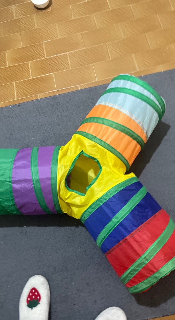 Çok Renkli kedi Oyun Tüneli - Görsel 3
