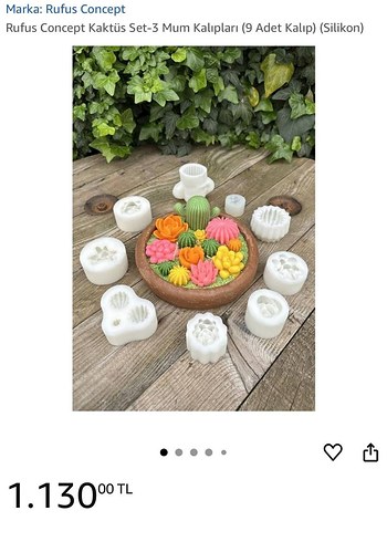 American Vintage Kaktüs Tasarımlı Mum kalıpları