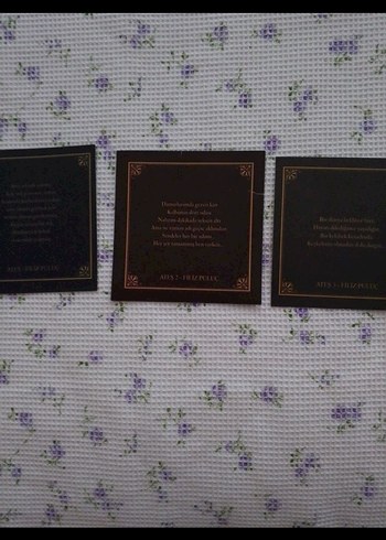 Ateş Serisi Roman Seti - Görsel 6