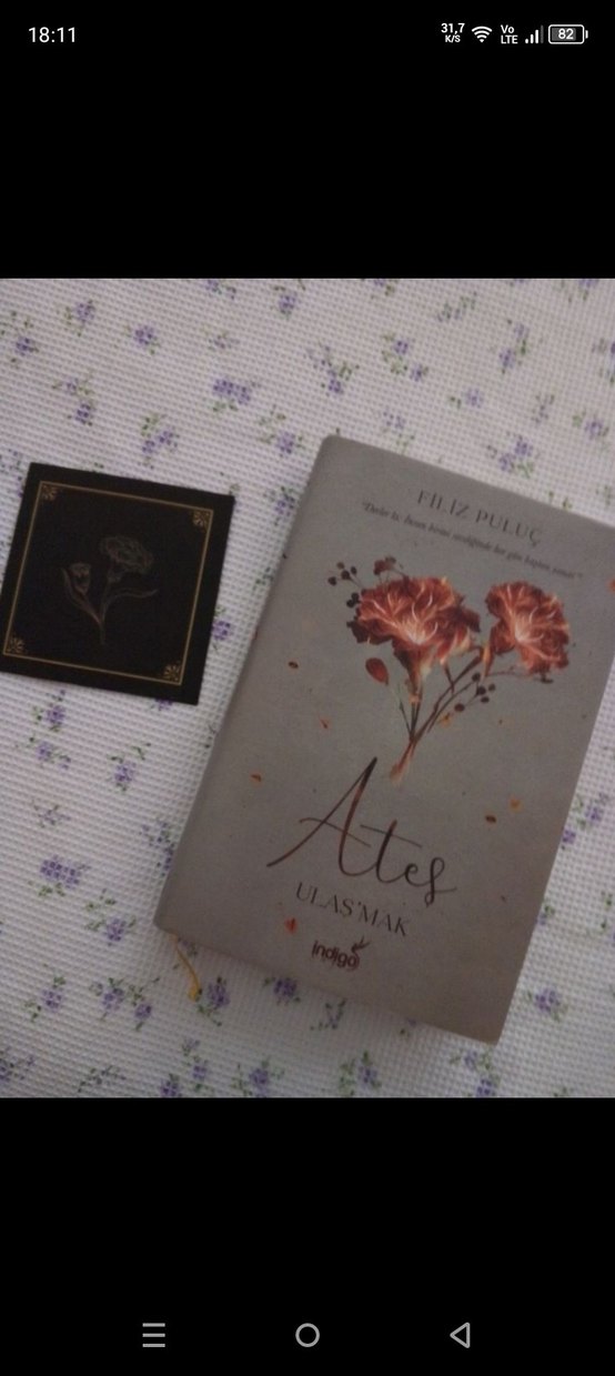 Ateş Ulaş'mak - Filiz Puluç Romanı - Görsel 3