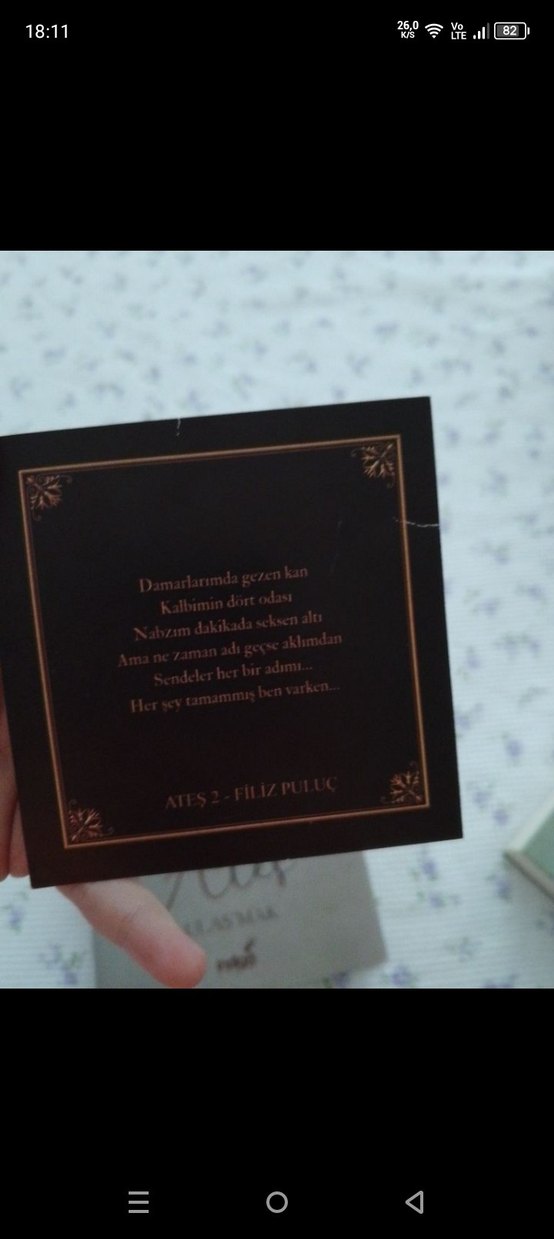 Ateş Ulaş'mak - Filiz Puluç Romanı - Görsel 2