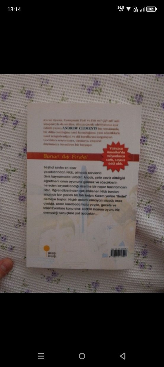 Bunun Adı Findel - Andrew Clements - Görsel 2