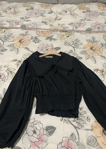 Gizia 38