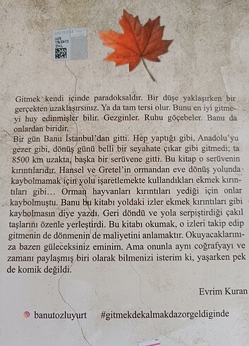  Banu Özkan Tozluyurt-Gitmek De Kalmak Da Zor Geldiğinde