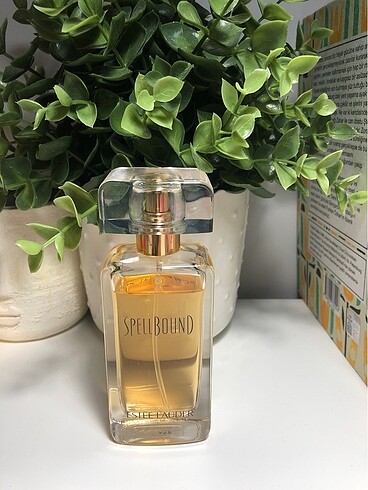 Estee Lauder Spellbound parfüm