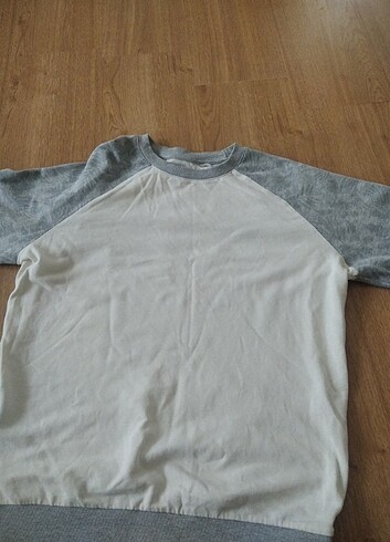  Cedar wood Sweatshirt 