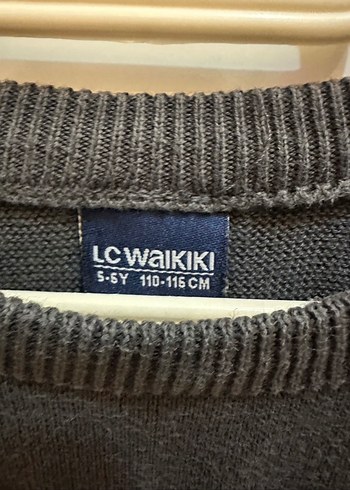 LC WAIKIKI Gri Erkek Çocuk Uzun Kollu Triko - Görsel 3