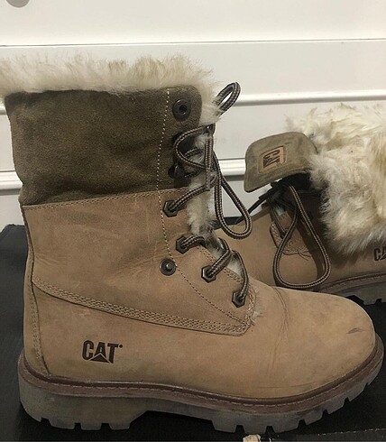39 Beden Cat bot