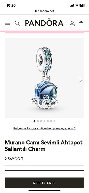 Pandora charm
