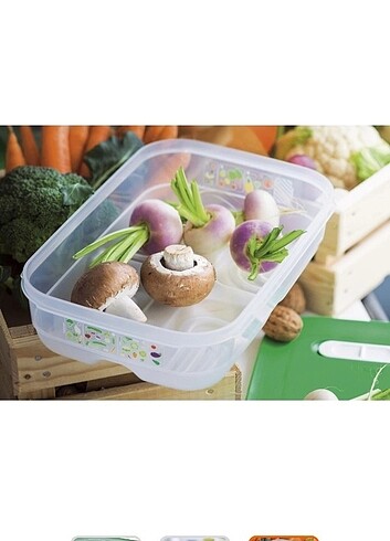 Beden beyaz Renk TUPPERWARE SERA 1.8