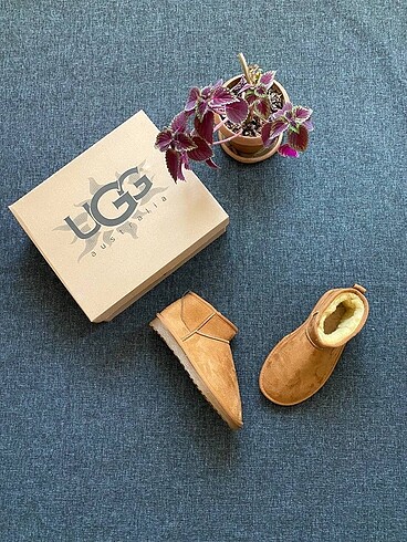 Ugg ugg ultra mini