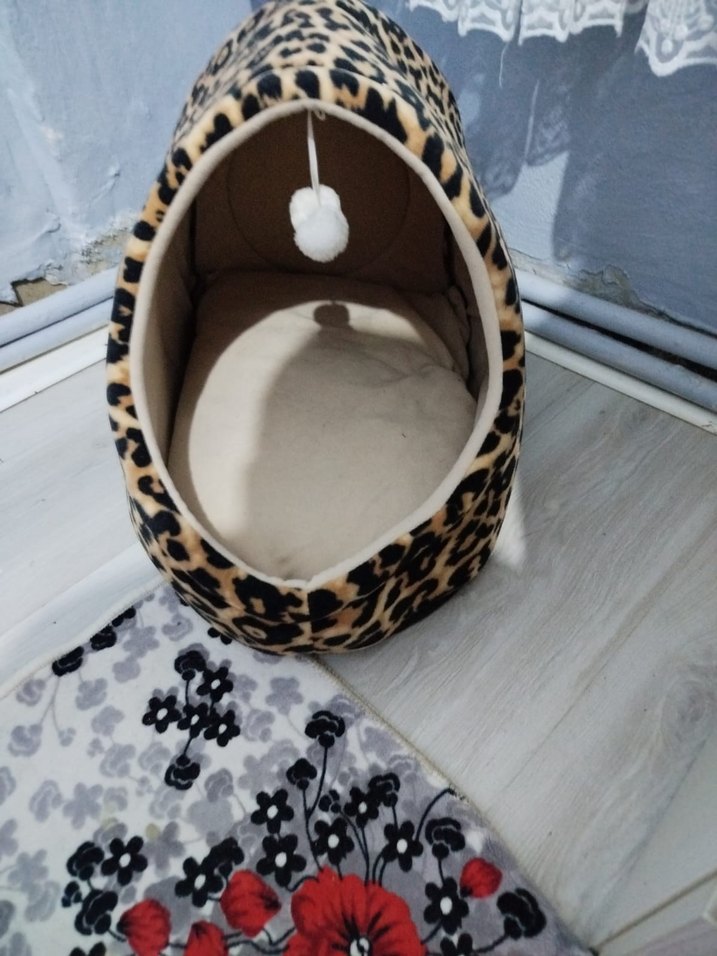 Kahverengi Leopar Desenli Kedi Evi - Görsel 3