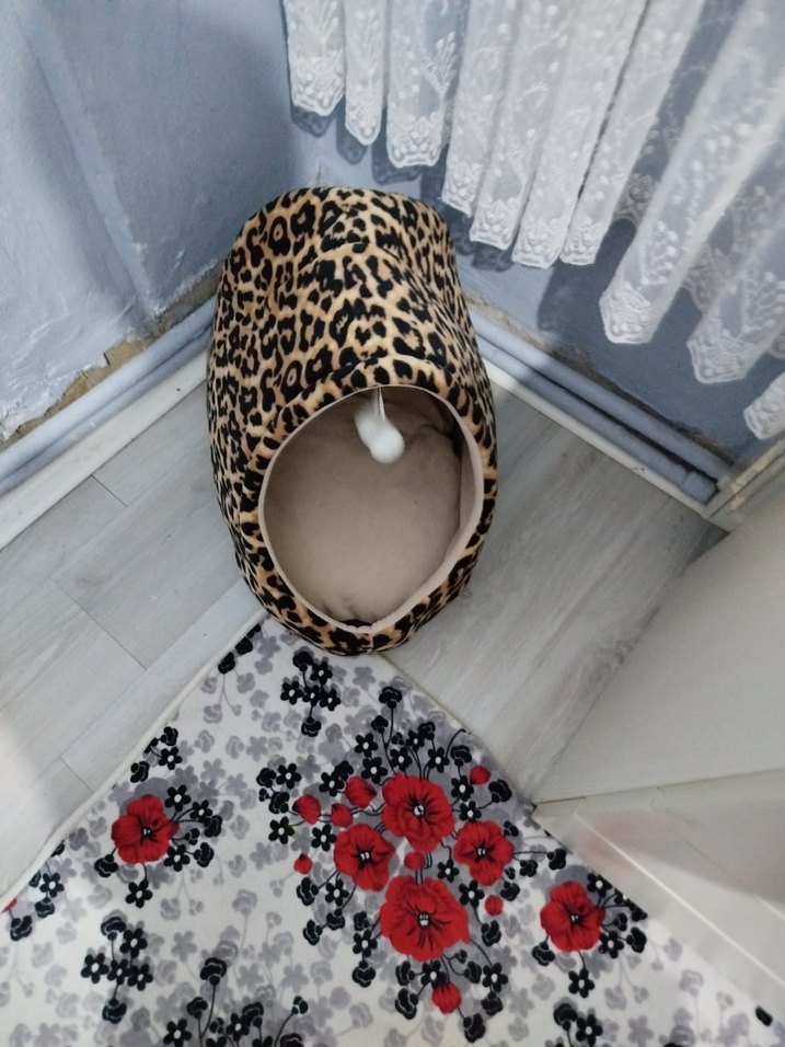 Kahverengi Leopar Desenli Kedi Evi - Görsel 2