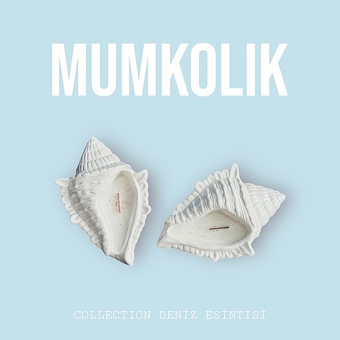 Büyük Sea Shell