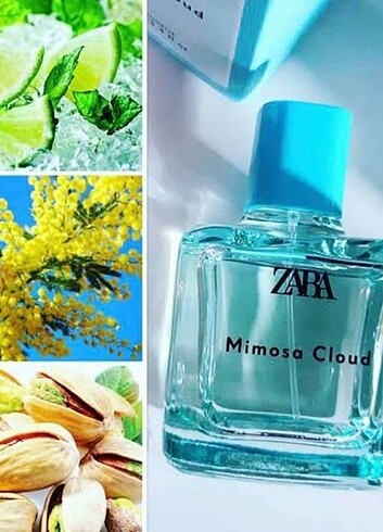 Zara Zara Mimosa Cloud 
