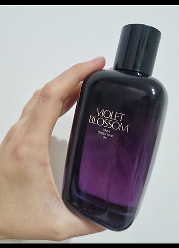 Violet Blossom 