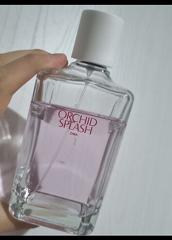 Zara Orchid