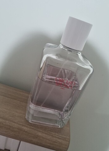Zara Zara Orchid