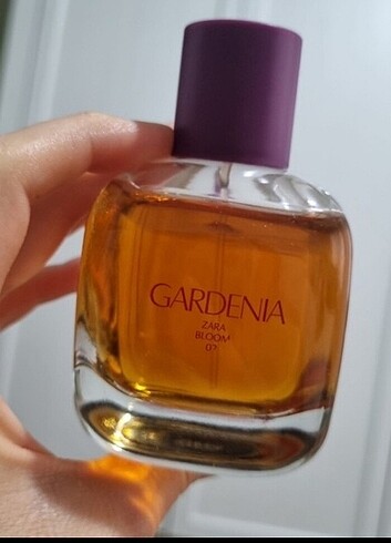 Zara Gardenia 