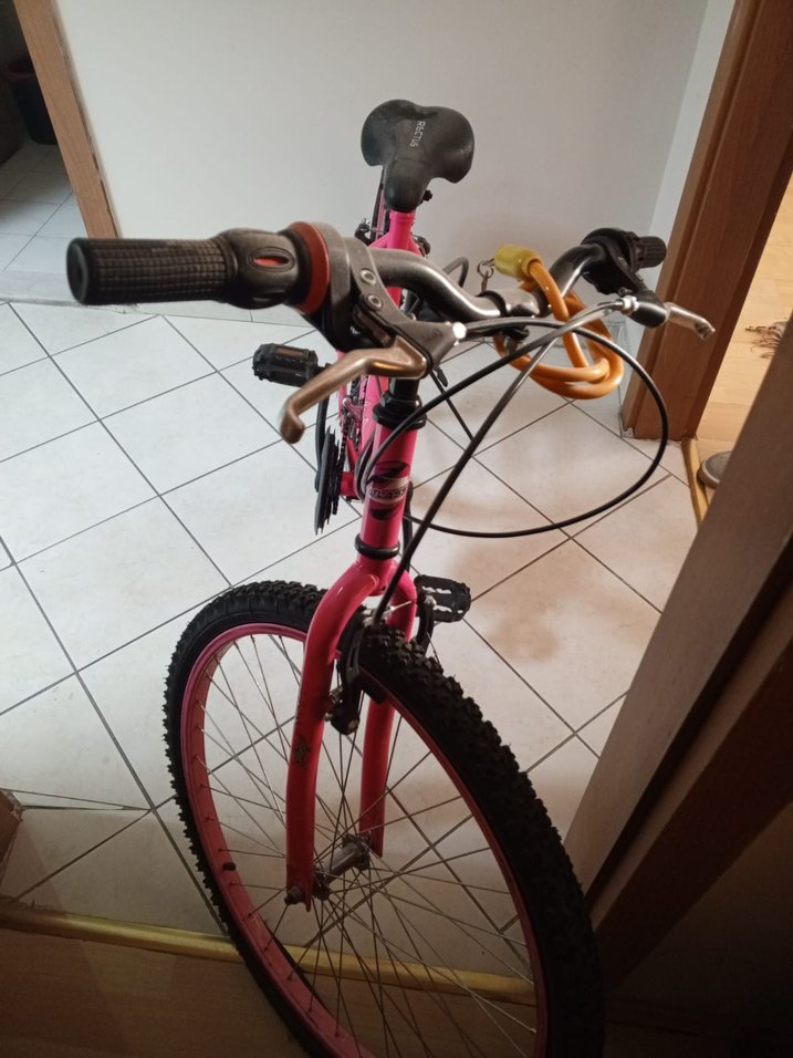 Pembe Renkli Üç Tekerlekli Bisiklet - Görsel 4