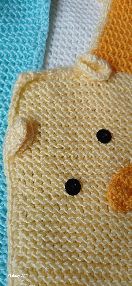 Renkli Nakışlı Bebek yelegi - Görsel 2