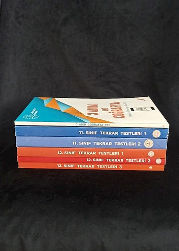 MEB AYT 11. ve 12. Sınıf Tekrar Testleri - Görsel 4