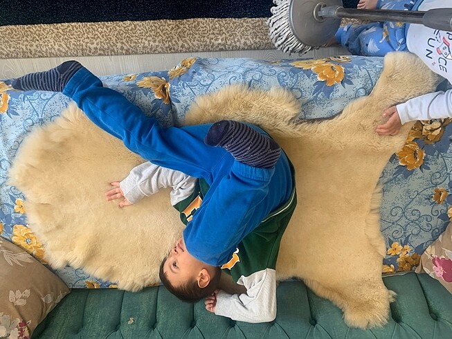 Beden Yeni Koyun postu kürkü