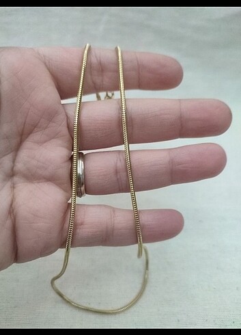 Diğer Gold Yılan Çelik Kolye 