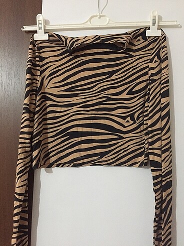 Zebra desenli crop