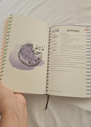 Cheli Tadında - Özlen Demirdöven Kök Yemek tarifi kitabı