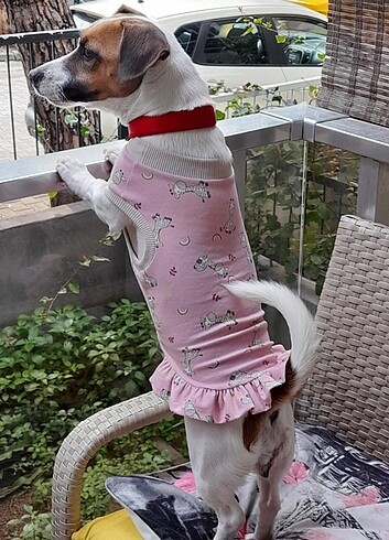  Köpek tshirt fırfırlı