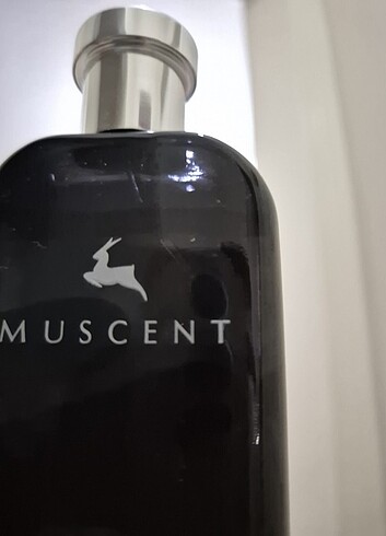 Beden Muscent - italica 50 ml